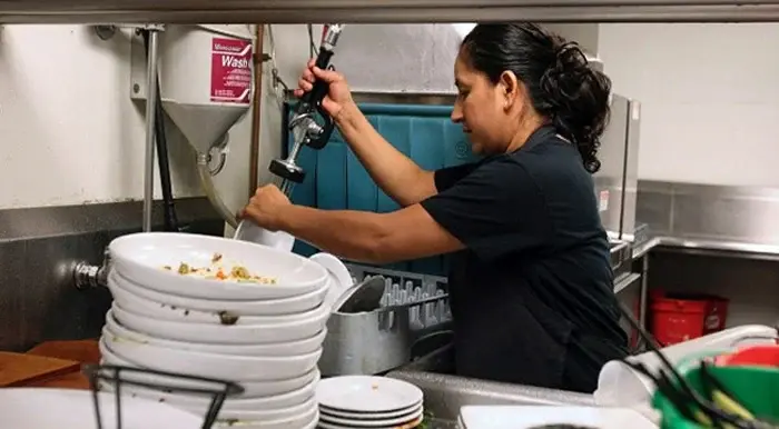 BUSCAMOS PERSONAL DE BACHA